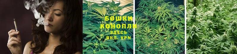 Конопля Ganja  Волгоград 